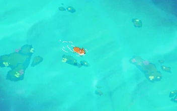 Cute Corgi Dogies Swimming