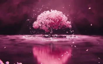 Spirit Tree by Visualdon