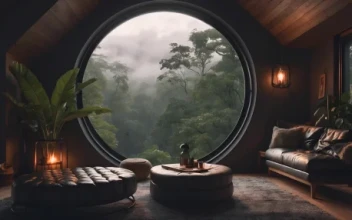 Forest Room