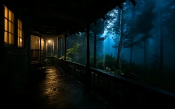 Rainy Forest Ambience