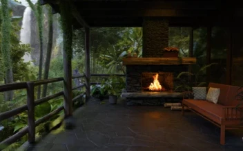 Relax Nature Ambience