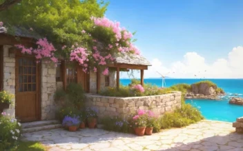 Summer Ambience