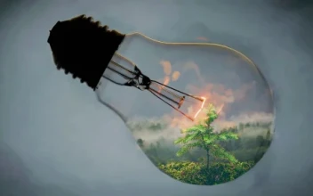 Fantasy Bulb