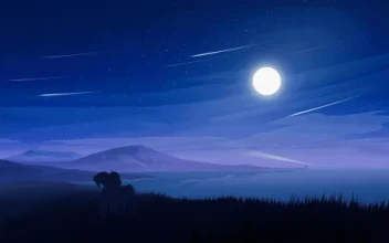 Shore - Night