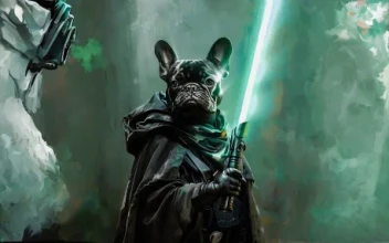Bulldog Jedi