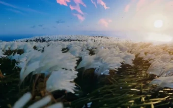 Ghost of Tsushima - Nature