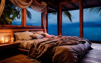 Tropical Room