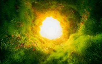 Fluffy Grass Portal