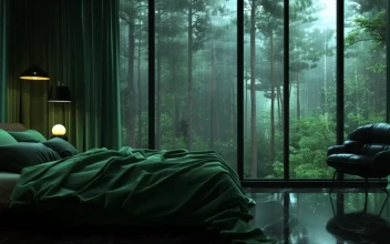 Green Room and Forest Rain View