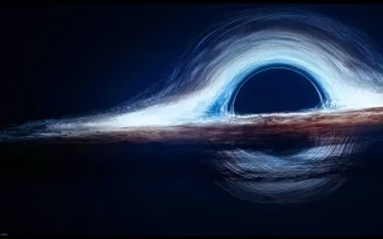 Dark Black Hole