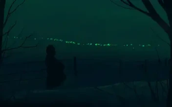 Distant Emerald Lights
