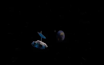 Silver Surfer: Observing Earth