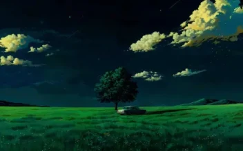 Midnight Meadow