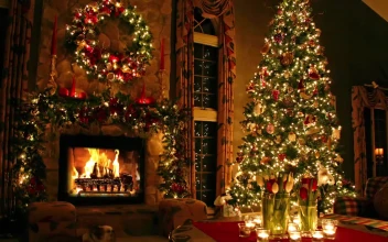 Christmas Tree and Fireplace