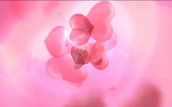 Valentines Day Animated Wallpaper