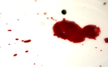 Slow Motion Blood HD