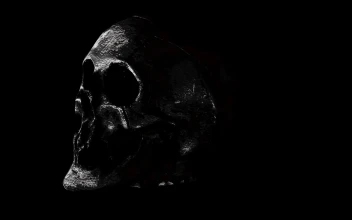 Somber macabre skull of terror 6