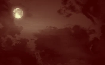 Wicked witch flying on a broomstick on full moon Wjrutn s 8