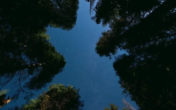 Nature Time Scape Hd