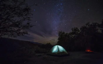 Camping under the stars HD