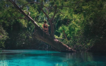 Weeki Wachee River in Florida HD