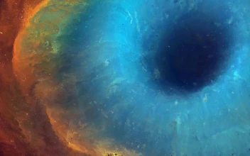 Nebula transformation v1