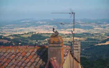 Pidgeons Overlooking Tuscany HD