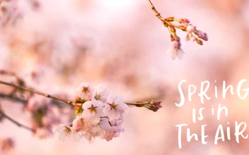 Spring is in the Air HD