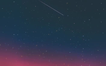 Night Stars Loop