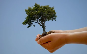Happy Earth Day HD