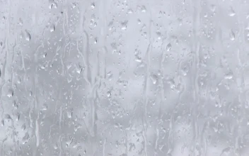 Wet Glass Winter