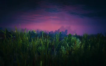 Grand Theft Auto V Underwater