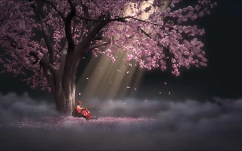 Sakura Tree And Sitting Girl