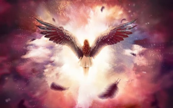 Angel  Fairy  Girly  Dream  Live  Wallpaper