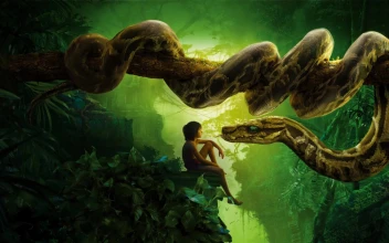 Jungle  Book  Mowgli  Kaa  Snake  Live  Wallpaper