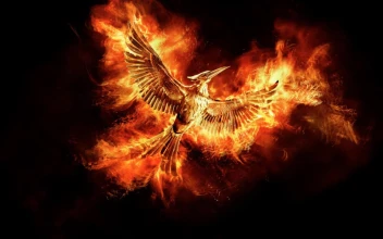 The  Hunger  Games  Mockingjay  Live  Wallpaper