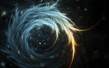3D  Abstract  Swirl  Plants  2K  Live  Wallpaper