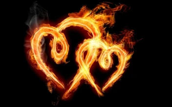 Heart  In  Flame  Love  Live  Wallpaper