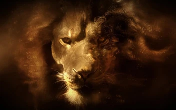 Lion  Head  Fantasy  Dust  Live  Wallpaper