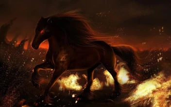 War  Horse  Fire  Flames  Live  Wallpaper