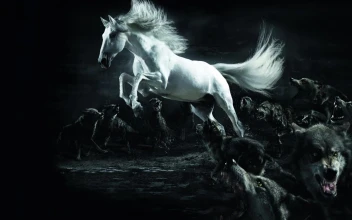 White  Horse  And  Wolves  2K  Live  Wallpaper