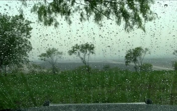 Rain on Window Relax Live Wlallpaper