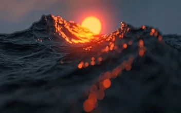 Ocean Waves and Sunset