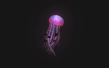 Jellyfish And Black Fish Swimming