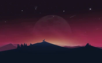 Lonely Wolf Under The Night Sky 4k