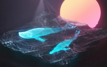 Retro Sun And Whales In Ocean Live Desktop