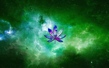 Weed Lovers