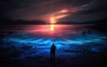 PC Animated Evening Love Couple