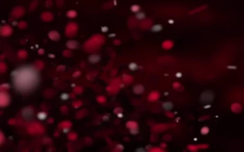 Biostorm Red Particles Windows Animated Wallpaper