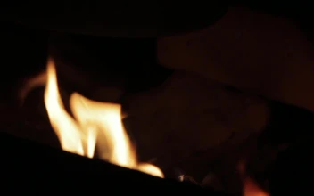 Open Fire Windows Animated Wallpaper